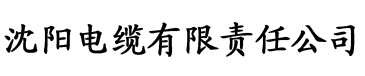 女攻男倌电缆厂logo